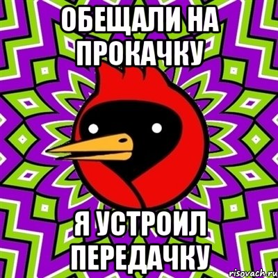 Обещали на прокачку я устроил передачку, Мем Омская птица