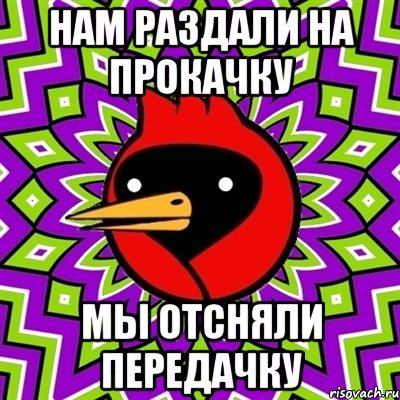 Нам раздали на прокачку мы отсняли передачку, Мем Омская птица