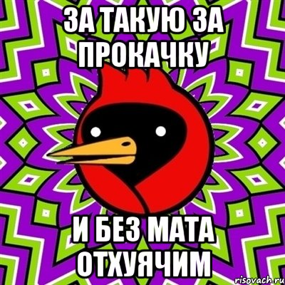 За такую за прокачку и без мата отхуячим, Мем Омская птица