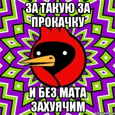 За такую за прокачку и без мата захуячим, Мем Омская птица