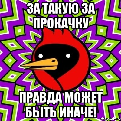 За такую за прокачку правда может быть иначе!, Мем Омская птица
