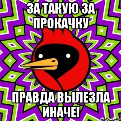 За такую за прокачку правда вылезла иначе!, Мем Омская птица