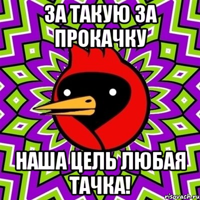 За такую за прокачку наша цель любая тачка!, Мем Омская птица