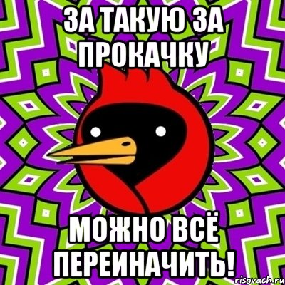 За такую за прокачку можно всё переиначить!, Мем Омская птица
