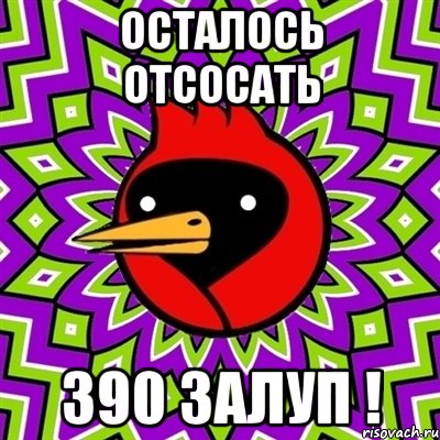 осталось отсосать 390 залуп !, Мем Омская птица
