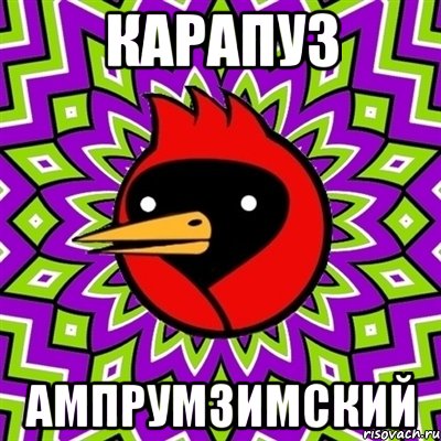 Карапуз ампрумзимский, Мем Омская птица