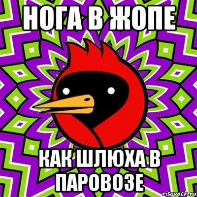 Нога в жопе как шлюха в паровозе, Мем Омская птица