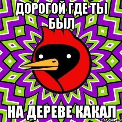 Дорогой где ты был На дереве какал, Мем Омская птица