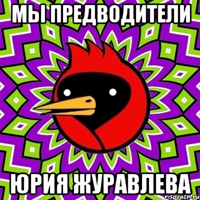 мы предводители ЮРИЯ ЖУРАВЛЕВА, Мем Омская птица