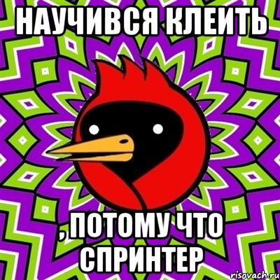 научився клеить , потому что спринтер, Мем Омская птица
