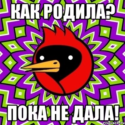 Как родила? Пока не дала!, Мем Омская птица