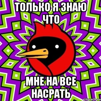 Только я знаю что мне на все насрать, Мем Омская птица