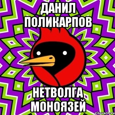 Данил Поликарпов Нетволга Моноязей