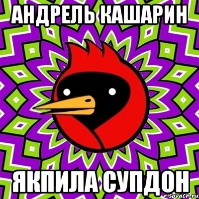 андрель кашарин якпила супдон, Мем Омская птица