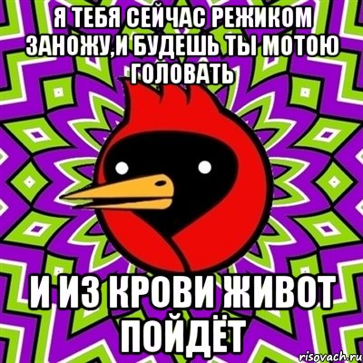 Я тебя сейчас режиком заножу,и будешь ты мотою головать И из крови живот пойдёт, Мем Омская птица