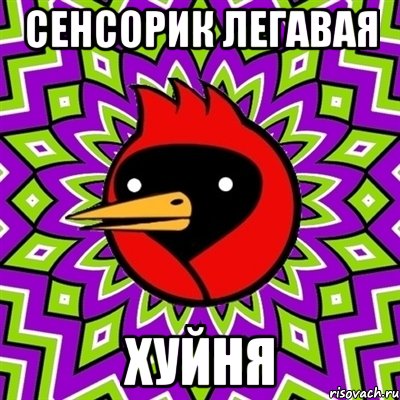 сенсорик легавая хуйня, Мем Омская птица