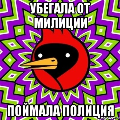 УБЕГАЛА ОТ МИЛИЦИИ ПОЙМАЛА ПОЛИЦИЯ, Мем Омская птица