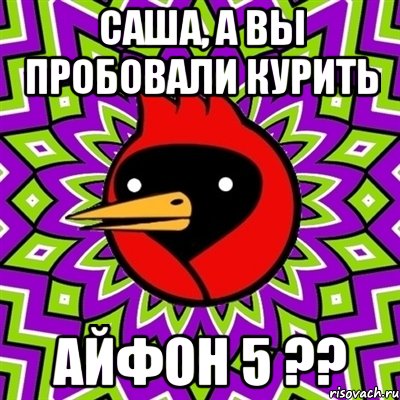 Саша, а вы пробовали курить Айфон 5 ??, Мем Омская птица