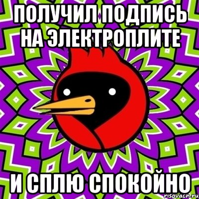 получил подпись на электроплите и сплю спокойно, Мем Омская птица