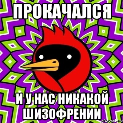 прокачался и у нас никакой шизофрении, Мем Омская птица