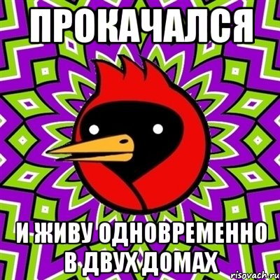 прокачался и живу одновременно в двух домах, Мем Омская птица