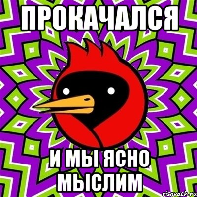 прокачался и мы ясно мыслим, Мем Омская птица