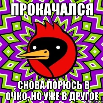 прокачался , снова порюсь в очко, но уже в другое, Мем Омская птица