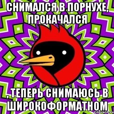 снимался в порнухе, прокачался , теперь снимаюсь в широкоформатном, Мем Омская птица