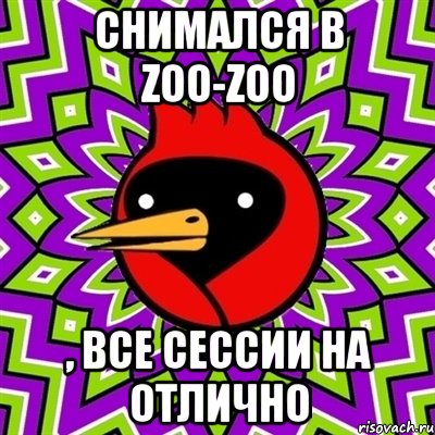 снимался в zoo-zoo , все сессии на отлично, Мем Омская птица