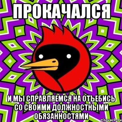 прокачался и мы справляемся на отъебись со своими должностными обязанностями, Мем Омская птица