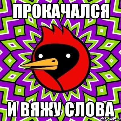 прокачался и вяжу слова, Мем Омская птица