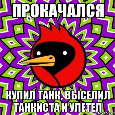 прокачался купил танк, выселил танкиста и улетел, Мем Омская птица
