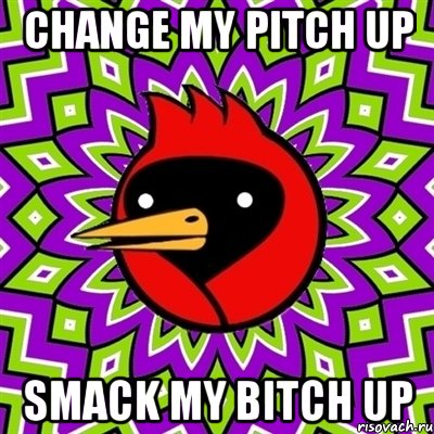 Change my pitch up Smack My Bitch Up, Мем Омская птица