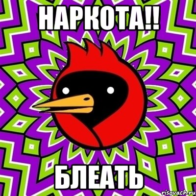 Наркота!! БЛЕАТЬ, Мем Омская птица