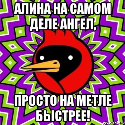 алина на самом деле ангел, просто на метле быстрее!, Мем Омская птица