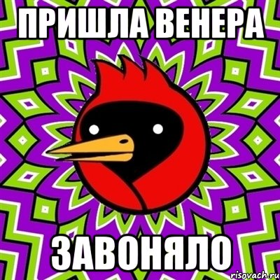 пришла Венера Завоняло, Мем Омская птица