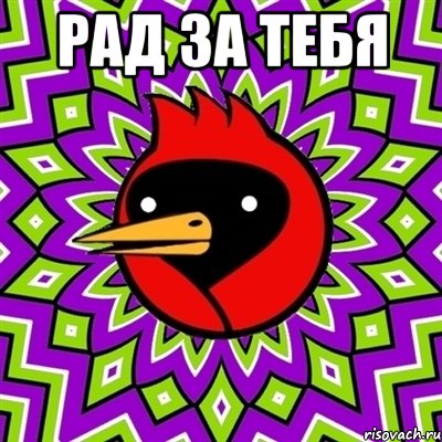 Рад за тебя , Мем Омская птица