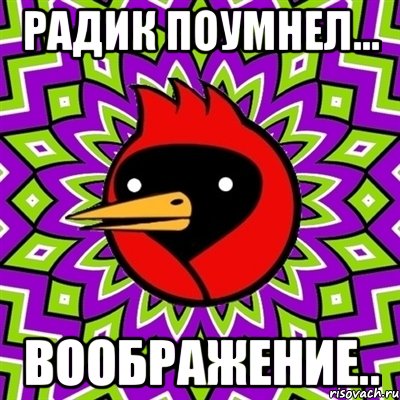 Радик поумнел... Воображение.., Мем Омская птица