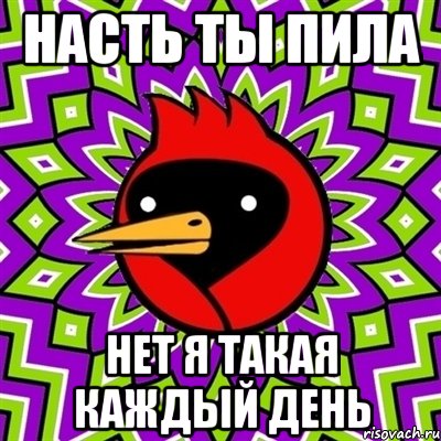 Насть ты пила Нет я такая каждый день, Мем Омская птица