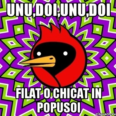 UNu,doi,unu,doi Filat o chicat in popusoi, Мем Омская птица