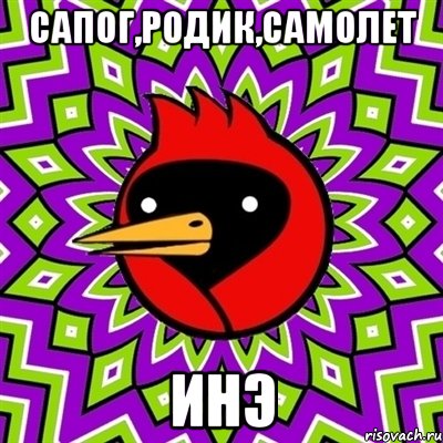 Сапог,Родик,самолет Инэ, Мем Омская птица