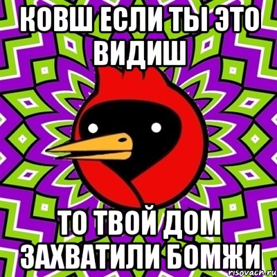 КОВШ ЕСЛИ ТЫ ЭТО ВИДИШ ТО ТВОЙ ДОМ ЗАХВАТИЛИ БОМЖИ, Мем Омская птица