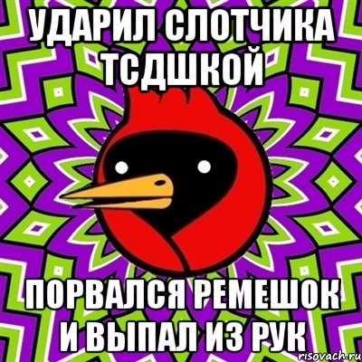 ударил слотчика тсдшкой порвался ремешок и выпал из рук, Мем Омская птица