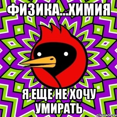 физика...химия я еще не хочу умирать, Мем Омская птица