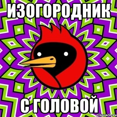 изогородник с головой, Мем Омская птица