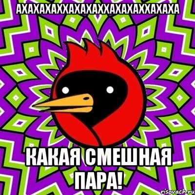 АХАХАХАХХАХАХАХХАХАХАХХАХАХА КАКАЯ СМЕШНАЯ ПАРА!, Мем Омская птица