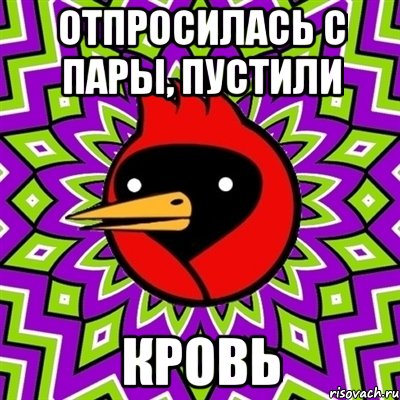 Отпросилась с пары, пустили кровь, Мем Омская птица