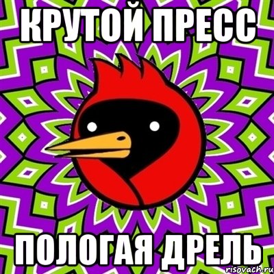 КРУТОЙ ПРЕСС ПОЛОГАЯ ДРЕЛЬ, Мем Омская птица