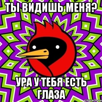 Ты видишь меня? УРА У ТЕБЯ ЕСТЬ ГЛАЗА, Мем Омская птица