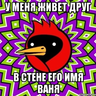 у меня живет друг В СТЕНЕ ЕГО ИМЯ ВАНЯ, Мем Омская птица